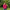 Kadın Pembe Crop İşleme Detaylı Sweatshirt