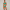 Sierra Bra Görünümlü Sportif Bikini Set