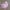 Filli Pembe 100% Pamuk Maske. Yıkanabilir Pamuk Kumaş Maske 