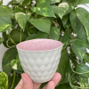 Berry ( yeşil-içi pembe) Limoges Porselen Bardak