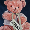 Tedy Bear Aplikeli Jean Çanta 