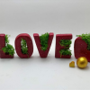 Love Set - Moss Bitkisi İle Süslü - Hediyelik Kutusunda