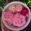 Seramik Kasede Sukulent Soya Mumu Pembe
