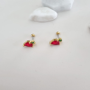 Tragus Küpe