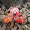 Turuncu Balkabağı Set