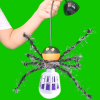 Poposu Avcı Tarantula