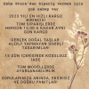 Doğal Taş Sitrin Taşı Kadın Doğal Taşlı Küpe Rodyum Euku3sr