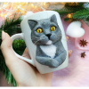 British Shorthair Griykedi Kupa
