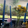 Blue Flowers 