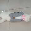 Smokin Kedi & Köpek Göğüs Tasması