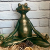 Yogacı Kurbağa 