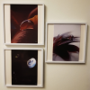 Doğa Fotoğrafları Set 14