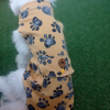 Cepli Kedi & Köpek T-shirt