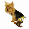 Bee Colours Kemique's Secret Köpek İç Çamaşırı Regl Külot Don
