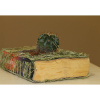 Book Art Vita Nova