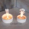 2 Li Mumluk Üşüyen Kedi Ve Köpek