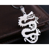 Dragon Erkek Kolye