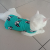 Kedi & Köpek T-shirt