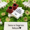 Kişiye Özel Arkadaşa Hediye Teraryum - Güneşli Bahçeler Serisi