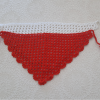 Renkli İki Bandana 