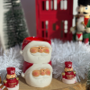 Yeni Yıl Hediyesi Noel Baba Saksi