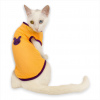 Lakers Atlet by Kemique Kedi Kıyafeti Kedi Elbise 