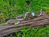 Makrome Tiara ve Choker - Solar Kuvar Taşlı