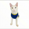 Native Bunny Blue Atlet by Kedi Kıyafeti Kedi Elbise
