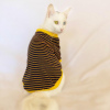 Navy Bee Stripes Oval Yaka Tişört Kedi Kıyafeti Kedi Elbisesi