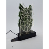 Owl Moss Lamba