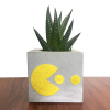 Pacman Figürlü Beton Saksıda Sukulent