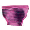 Purple Stripe Kedi İç Çamaşırı  Regl Külot  Don