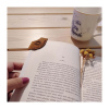 Sayfa Ucu Kitap Ayracı
