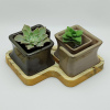Tasarım Kare Spiral Seramik Sukulent Saksı Set(2li)