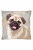 Evcil Hayvanlarımız Serisi Kırlent & Yastık & Kırlent Kılıfı - Köpekler - Pug