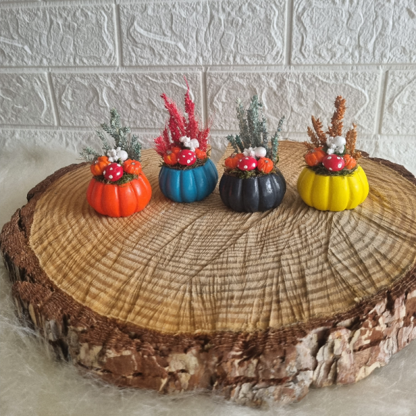 Dekoratif Mini Bal Kabağı Aranjmanı