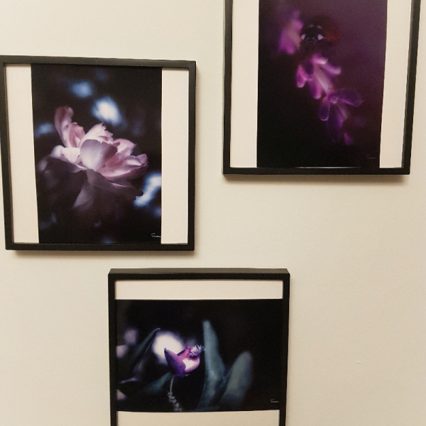 Doğa Fotoğrafları Set 3