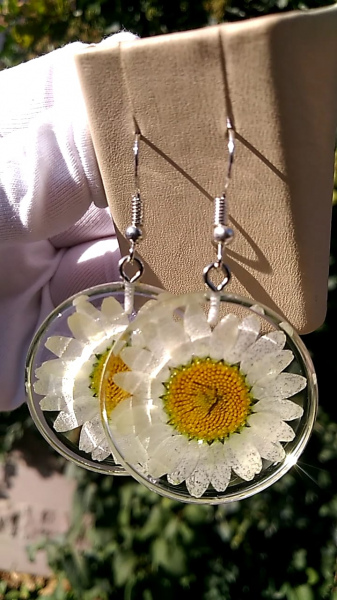 Kişiselleştirilebilir Gerçek Kurutulmuş Papatya ile Reçine Küpe