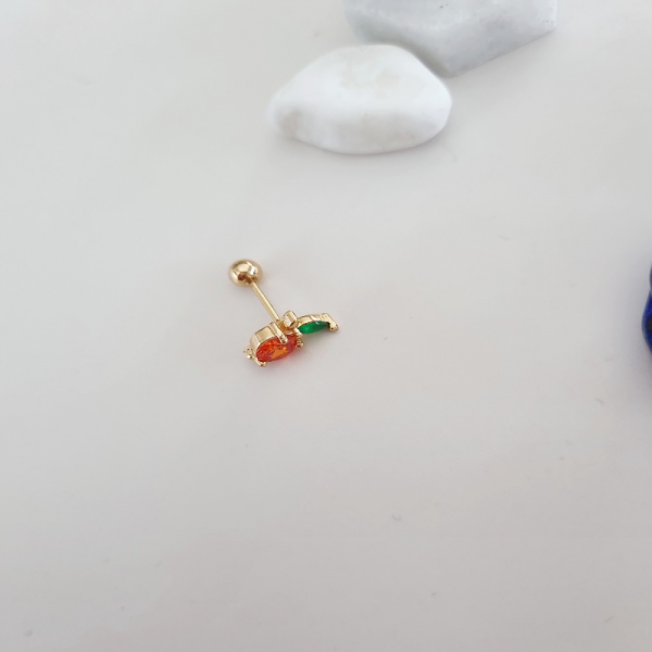 Tragus Küpe