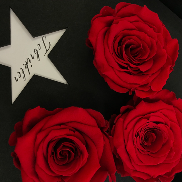 Kutuda Solmayan Kırmızı Ekvator Gülleri - Tebrik Çiçeği - Stars Koleksiyonu
