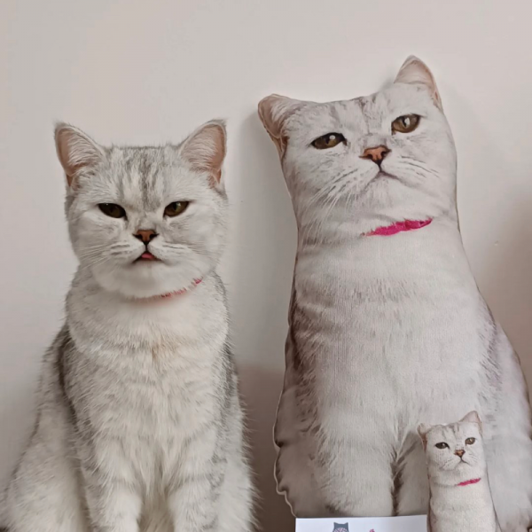 Kedi Köpek Evcil Hayvanınıza Özel Yastık Ve Anahtarlık - Kişiye Özel
