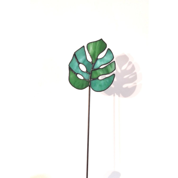 Cam Monstera Saksı Süsü