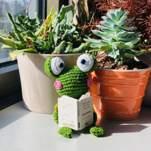 Sevimli Kurbağa Amigurumi Oyuncak