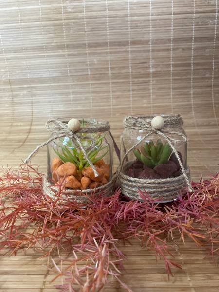 İkili Sukulent Minik Aranjman 8cmx6cm