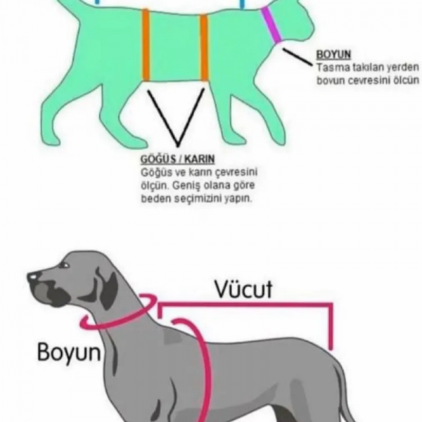 Yılbaşı Kedi & Köpek Kıyafeti