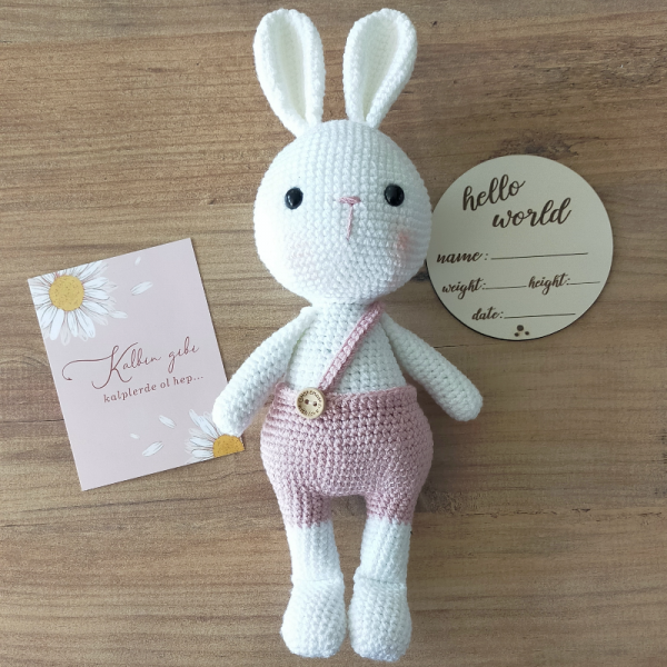 Amigurumi Tavşan Set