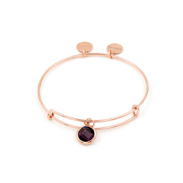 February Amethyst BirthStone Charm Bracelet, Rose