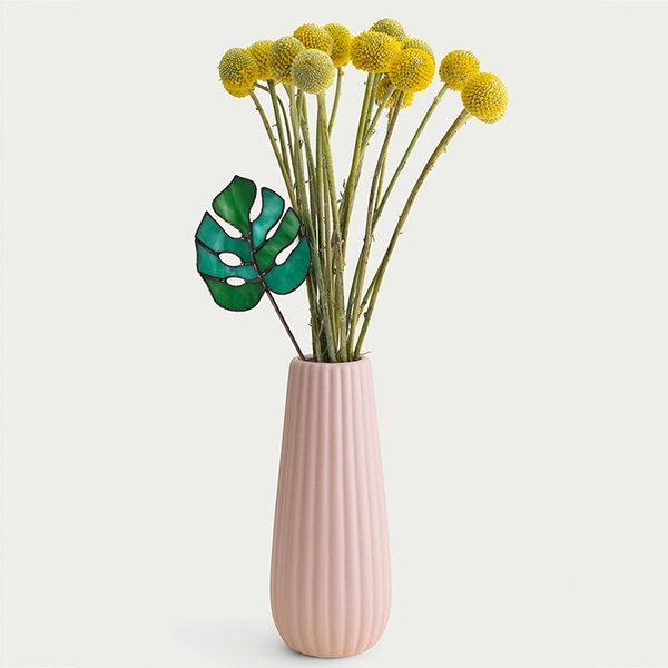Cam Monstera Saksı Süsü