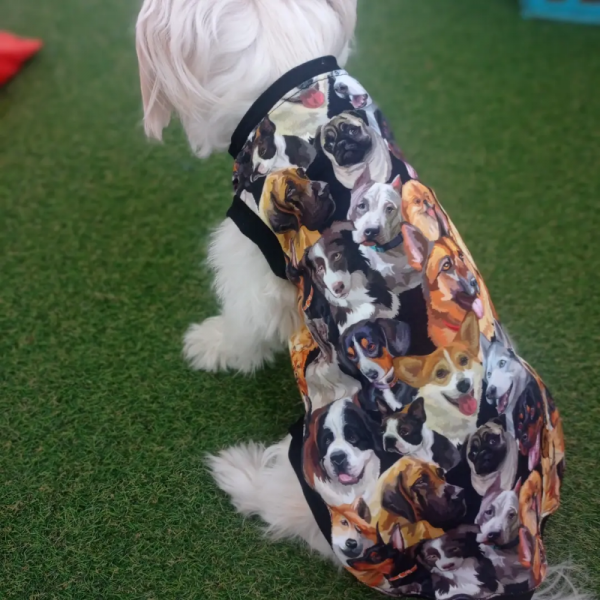 Kedi & Köpek T-shirt