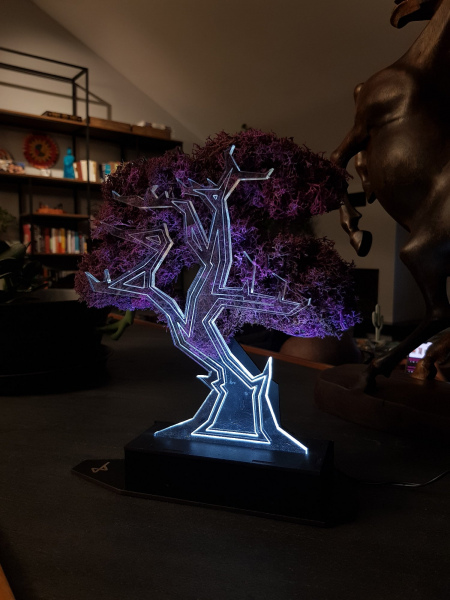 Acer Palmatum Bonsai Mor Moss Lamba